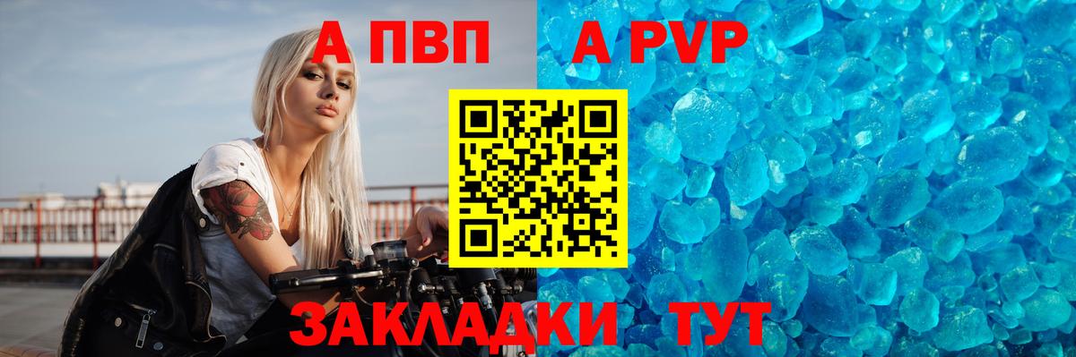 Торжок  Альфа ПВП крисы CK  A-PVP  Alfa_PVP СК КРИС  Вход с VPN  А ПВП СК 